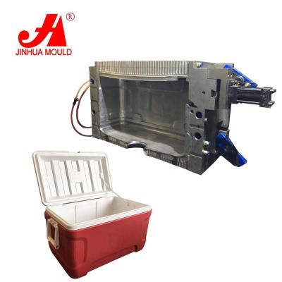 China Manufacture all kinds of plastic coolers box mold ice cooler plastic cooler blow mold for sale