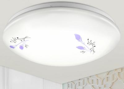 中国 現代的なアクリルの天井灯、21w LED は団地のためのランプを引込めました 販売のため