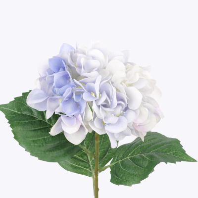 China Wholesale High Quality Real Touch Cloth+ Plastic+ Silk Yarn Wedding Decorative Real Touch Extra Large White Hydrangeas For Home Decor Latex Hydrangea for sale