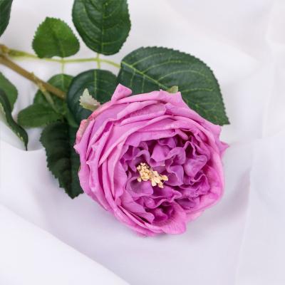 China real touch David Austin Rose Flower Artificial Latex Cauliflower Roses Real Touch Silk Yarn Wholesale cloth+plastic+iron Centerpiece Wedding Decorative Latex Roses for sale