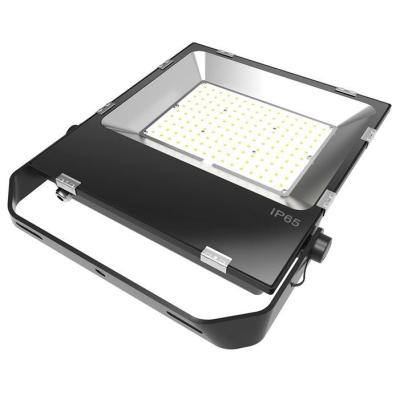 China Brand New Garden 50W 80W 100W 150W 200W Sri Lanka CE Rohs Flood Light For Outdoor for sale