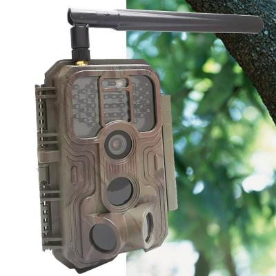 China App Setting 4G LTE Cellular Hunting Camera Support External Solar Panel Power Supply for sale