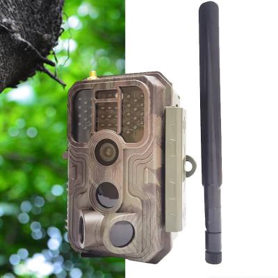 China App Setting Amazon Hot Selling Cellular Trail Camera H.264 Video Coding for sale