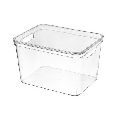 China Portable PET Viable Storage Box Storage Box With Cover Large Capacity Storage Box for sale