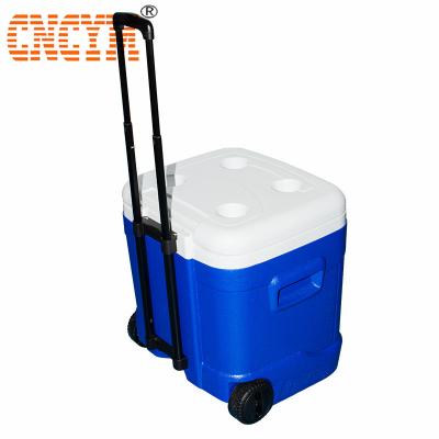 China Mold Plastic Factory Freeze Cooling Cooler Box For Cooler Blow Molding for sale