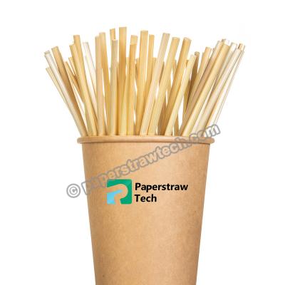 China RainbowBear Drinkware Disposable Eco Friendly Biodegradable Wheat Drinking Straw for sale