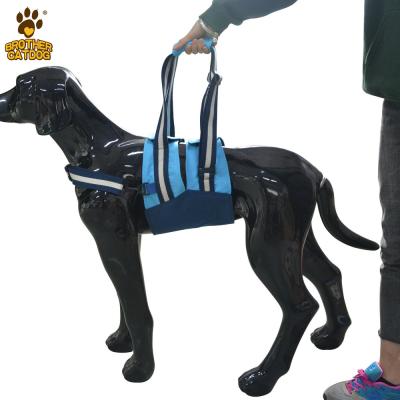 China Sustainable Dog Lift Harness Dogs For Injured Old Dog / Arthritis / Paralysis Walk for sale