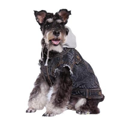 China 2021 Viable Cartoon Denim Dog Harness Adjustable Front Dog Harness Personalized for sale