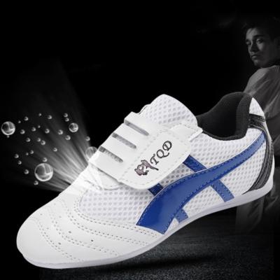 China 2020 new cheap Sports martial arts, wholesale price sports shoes taekwondo shoes Blue colour size 27-45 for sale