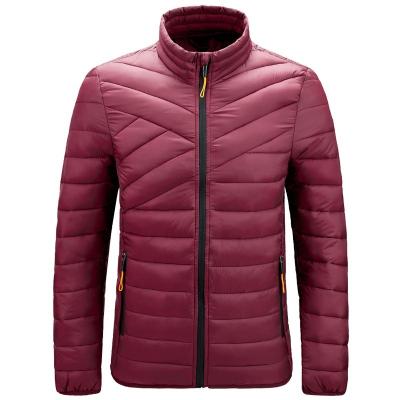 China Waterproof Low MOQ Padding Jacket Fashion Nylon Hooded Men Padded Winter Jacket for sale