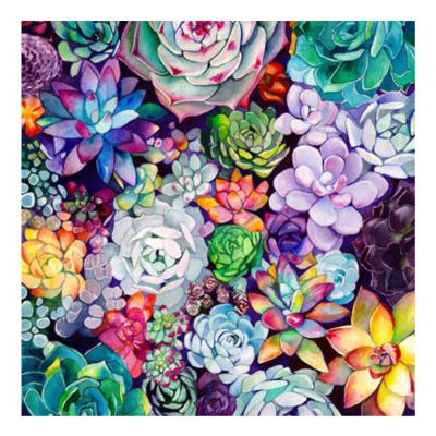 China HUACAN 5D DIY Diamond Embroidery Succulent Plant Full Square Diamond Painting Flowers Handmade Home Decoration from Japan for sale