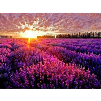 China HUACAN DIY Design Diamond Painting Flower Landscape Sunset Lavender Clouds Embroidery Modern Popular Picture Diamond Mosaic Wall Decor for sale