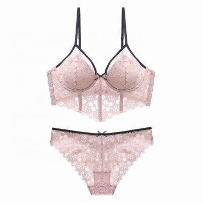 China Breathable Translucent Cavity Lace Women Sexy Bra Brief Sets Ladies Lingerie Set Sexy Flower Bra Panties Ser for sale