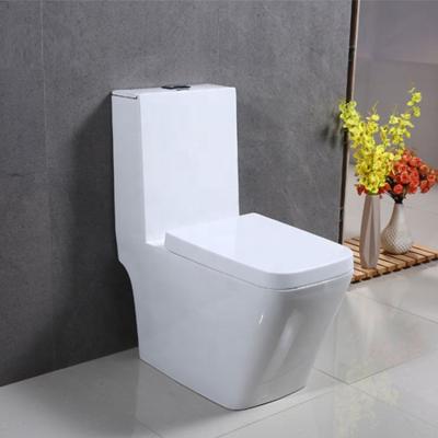 China Double-Flow European Modern One Piece WC Ceramic Toilet Bidet Toilet for sale