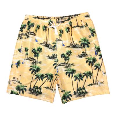 China Windproof Coconut Tree Pattern Printed Men's Peach Skin Fabric Quick Dry Comfortable Men's Shorts for sale