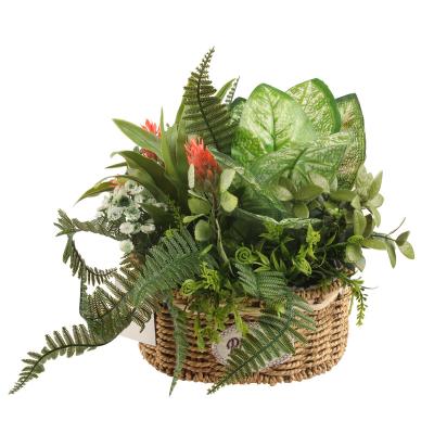 China Eco-friendly High Quality Plastic Fake Rattan Small Potted Artificial Mini Rattan Plants For Desktop Decoration for sale