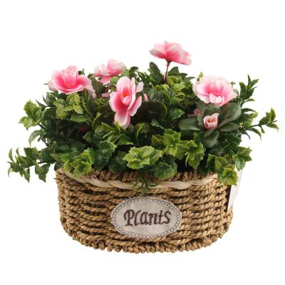 China Small Artificial Flower Tissue Flower Bonsai Plants Potted High Quality Plastic Eco-friendly Fake Mini Rattan For Office Indoor Decoration for sale