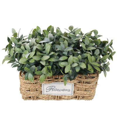 China Artificial Grass Plant Green Bonsai Rattan Basket Wholesale Outdoor/Indoor Decoration for Kitchen Indoor Decoration for sale