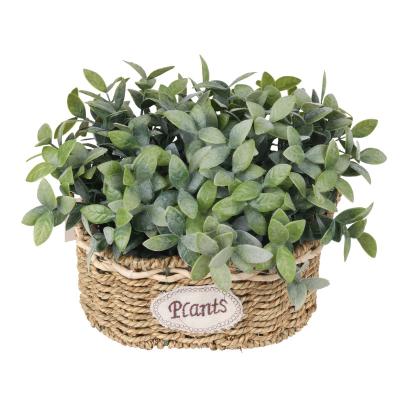 China Art Decor Customized Green Leaves Mini Rattan Basket Artificial Grass Bonsai Plant For Shop Garden Home Decoration for sale