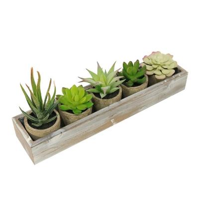 China 2018 Environment-frendly Potted Amazon Artificial Succulent Pot Plants On Sale for sale