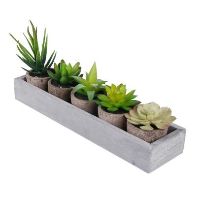 China Bulk Plants Layout Artificial Succulent Plant Set Factory Direct Environment-frendly Mini Artificial Succulent For Wedding Decoration for sale