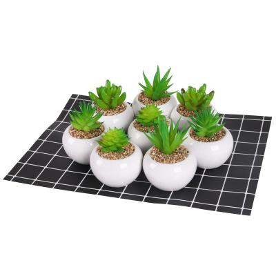 China Outdoor Direct Miniature Succulent Artificial Plant/Indoor Decoration Mini Factor For Indoor Garden Home Decoration for sale