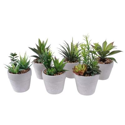 China New Eco-Friendly Different Style Set of 3 Small Potted Artificial Succulent Plants for Restaurant Decoration for sale