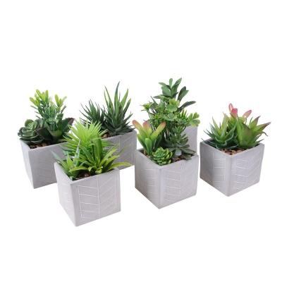 China Eco-friendly plant wholesale set of 3 small artificial potted succulent gardens for sale for sale