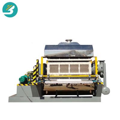 China Factory Beston Waste Paper Recycling Pulp Molding Factory Paper Egg Carton Tray Making Machine for sale