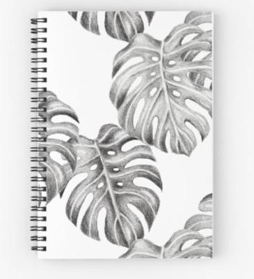 China China Manufacturer Spiral O-Binding Custom Stationery Lined Paper A5 Spiral Notebook for sale