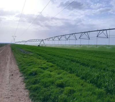 China Fenglian Anti-Corrosion Plant Electric Central Pivot Irrigation System for sale