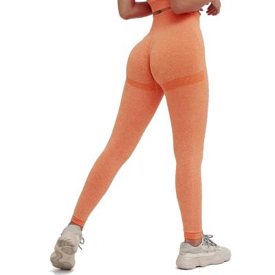 China Breathable High Quality Active Outdoor Wear Fitness Yoga Pants Gaiters Yoga Suit Sports Wear Butt Lifter for sale