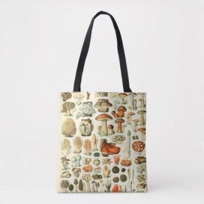 China 38*45cm Custom DIY Canvas Bag 100% Recyclable Cotton Bag Or Canvas Cotton Bag for sale