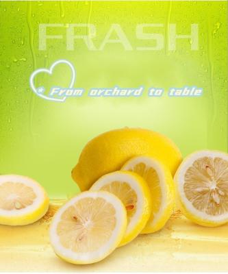 China IQF FROZEN Fresh Lemon with Best Price for sale