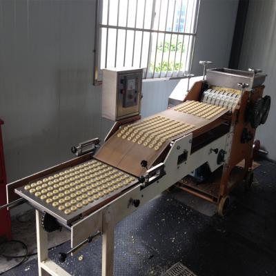 China Snacks Factory KH-400 Soft Cookie Machine for sale