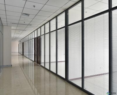 China China Manufacture High Cost Performance Modern Magnetron Shop Single Glass Canopy Glass Sliding Door Frameless Door for sale