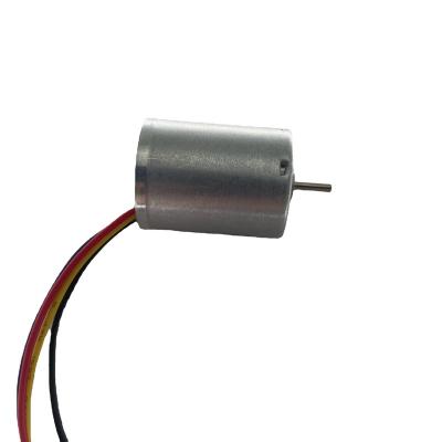 China FAN Customized High RPM Speed ​​Control Direct Drive Bldc Brushless Electric Motor 12V 2430 DC Mini Motor for sale