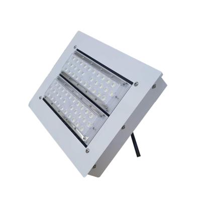 China 2020 100w 150w 200w IP65 hot sale cold strorage canopy gas station/warehouse/explosion proof light/gas station LED Tunel for sale