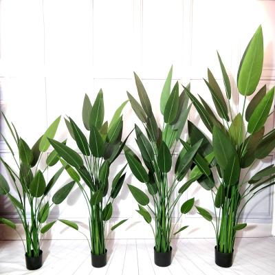 China Wholesale Minimalist Artificial Paradise Plant Decor Fake Plant Traveler Banana Tree Indoor Home Plastic Bird for sale