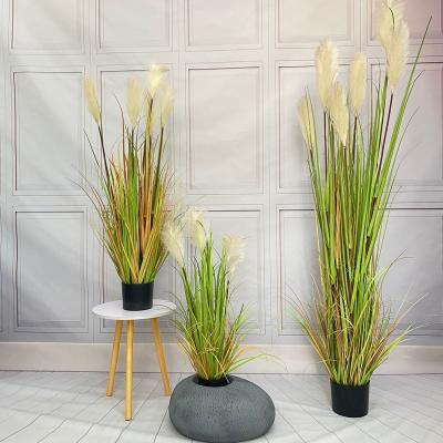 China Decorative Artificial Tubular Grass Wedding Home Wholesale Hotel Store Fake Pampas Grass Plant Artificial Flowers Minimalist for sale