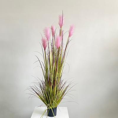 China Minimalist China Supplier Design Style Bonsai Tree 2-6 Ft Modern Artificial Flower Reed Plant Type Grass For Home Decoration for sale