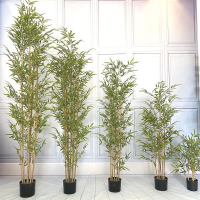 China Minimalist in Chinese Plastic Bamboo Tree 1m Wholesale Artificial Bamboo Tree Highly Simulation Factory Running Tree for sale