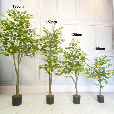 China Minimalist in Wholesale Environmental Plastic Long Stock Bonsai Indoor Decorative Lemon Branches Simulate Artificial Tree Plant for sale