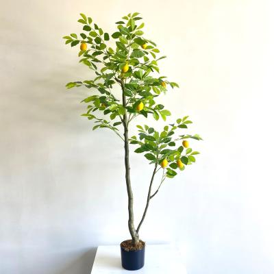 China Wholesale Minimalist Environmental Plastic Trunk Bonsai Green Plant Lemon Tree Indoor Decorative Artificial Outdoor for sale