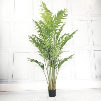 China Artificial Dypsis Lutescens Minimalist Tree Minimalist Dypsis Lutescens Tree Decorative Home Office Decoration Palm Trees Plant for sale