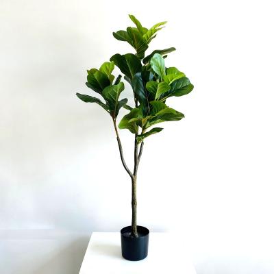 China Minimalist Fake Ficus Lyrata Plants Outdoor Artificial Violin Leaf Fig Tree for sale