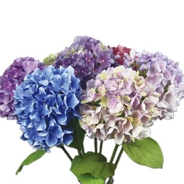 China 2022 Bulk Silk Hydrangea Wedding Multicolor Wholesale Real Touch Hydrangea Flower Durable Hydrangea For Home Wedding for sale