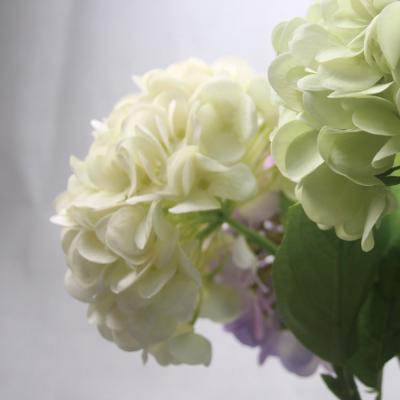 China Real Touch Realistic Short Stem Heads 91 Real Touch Hydrangea Artificial Silk Hydrangeas Suppliers for sale