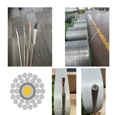 Chine Cable de pontage à noyau unique, câble perforant, câble de dépôt pour l'exploration de champs pétrolifères à vendre