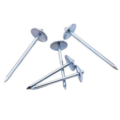 China Flat Caps Factory Price Electro Galvanized Umbrella Q195 Roofing Nail for sale